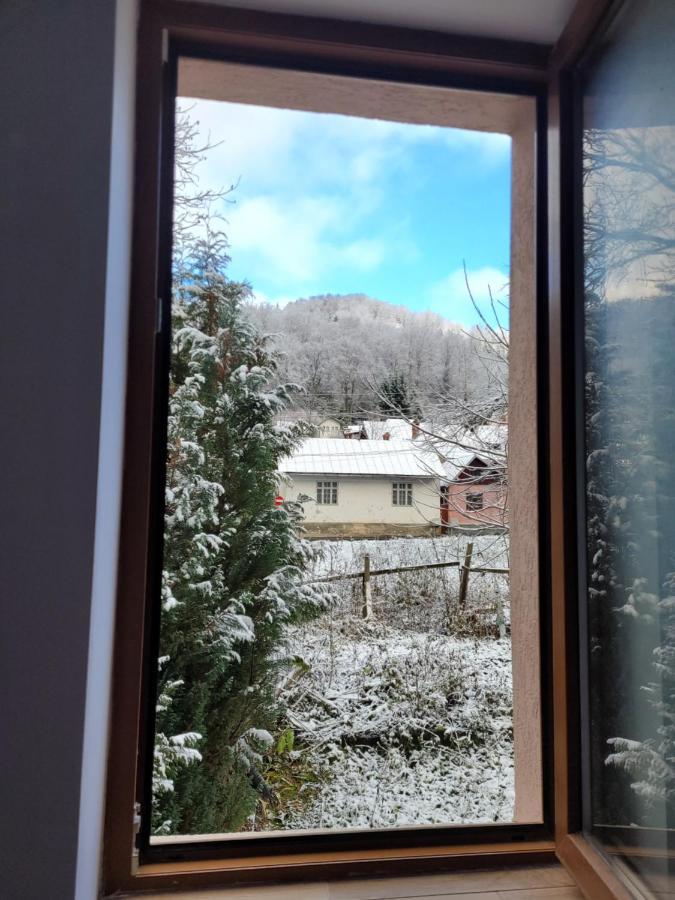Apartamentul Florilor De Fan Azuga Dış mekan fotoğraf