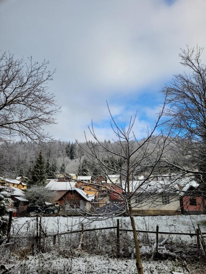 Apartamentul Florilor De Fan Azuga Dış mekan fotoğraf