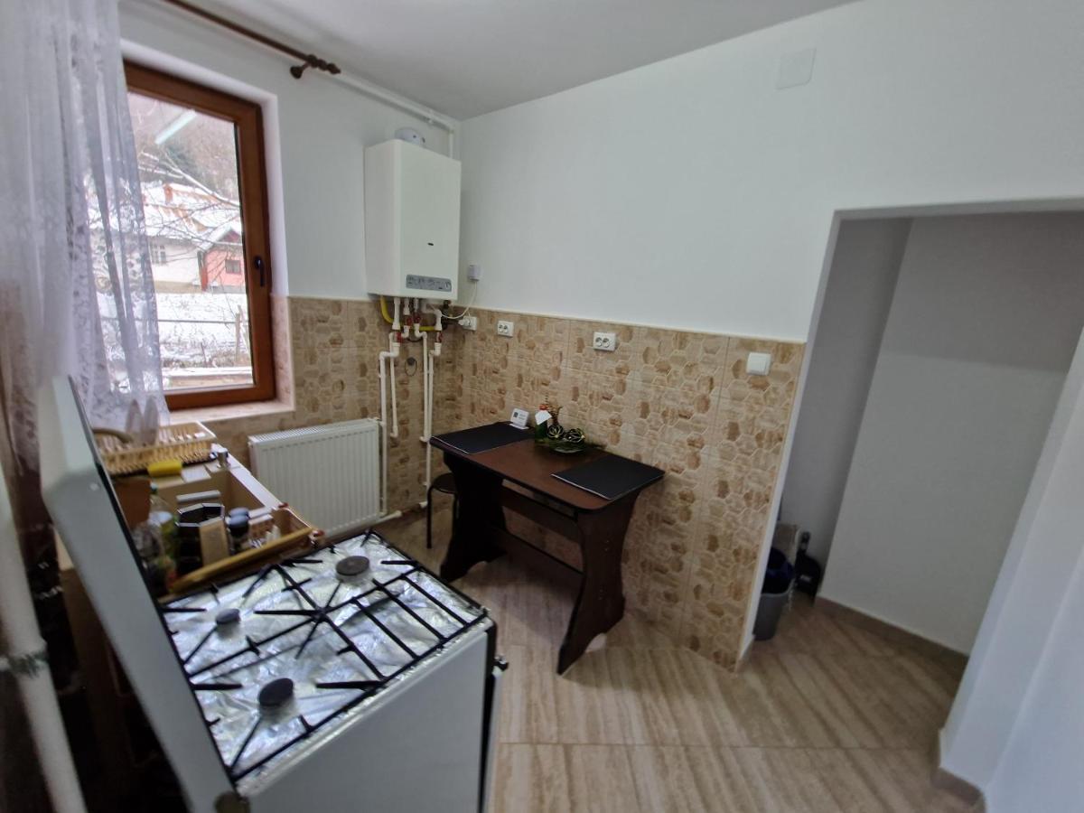 Apartamentul Florilor De Fan Azuga Dış mekan fotoğraf
